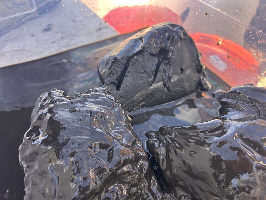 Close-up of muck removed from Lake Okeechobee